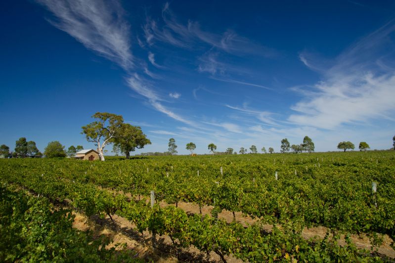 Highbank Vineyards, Coonawarra