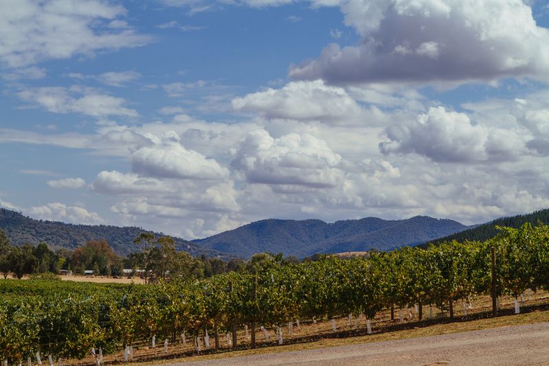 Wineries High Country