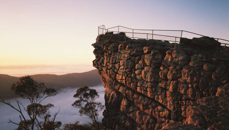 travel auctions grampians